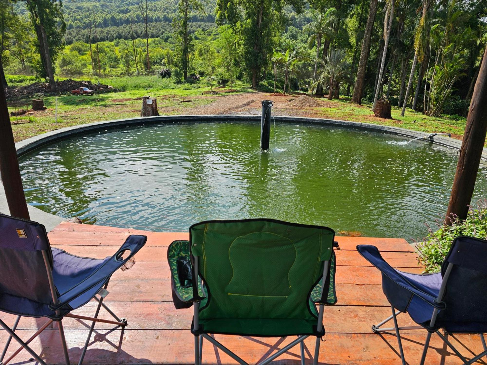 Pecan Farm Guesthouse Louis Trichardt Luaran gambar